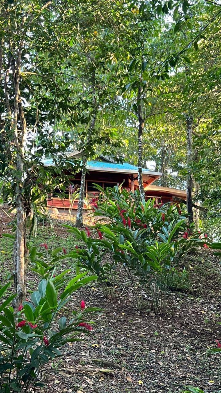 Akwaba Lodge The Gap Habitación foto